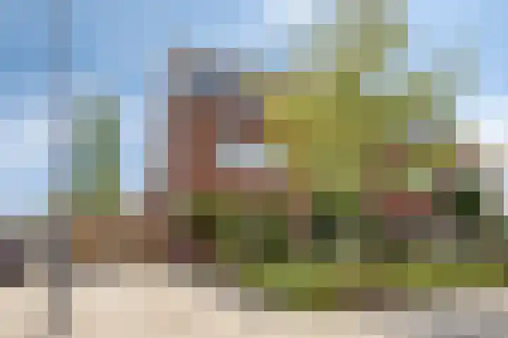 Muntmeester 149 Uden