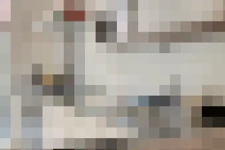 Muntmeester 149 Uden thumbnail 11