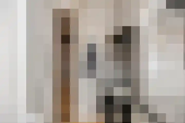 Muntmeester 149 Uden thumbnail 17