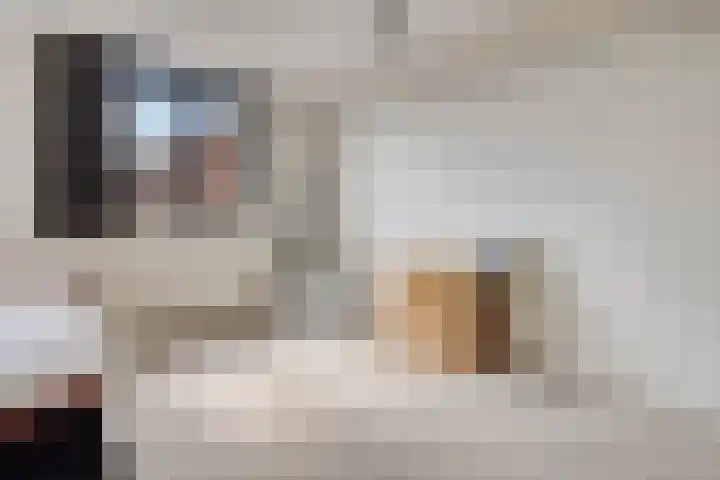 Muntmeester 149 Uden thumbnail 18