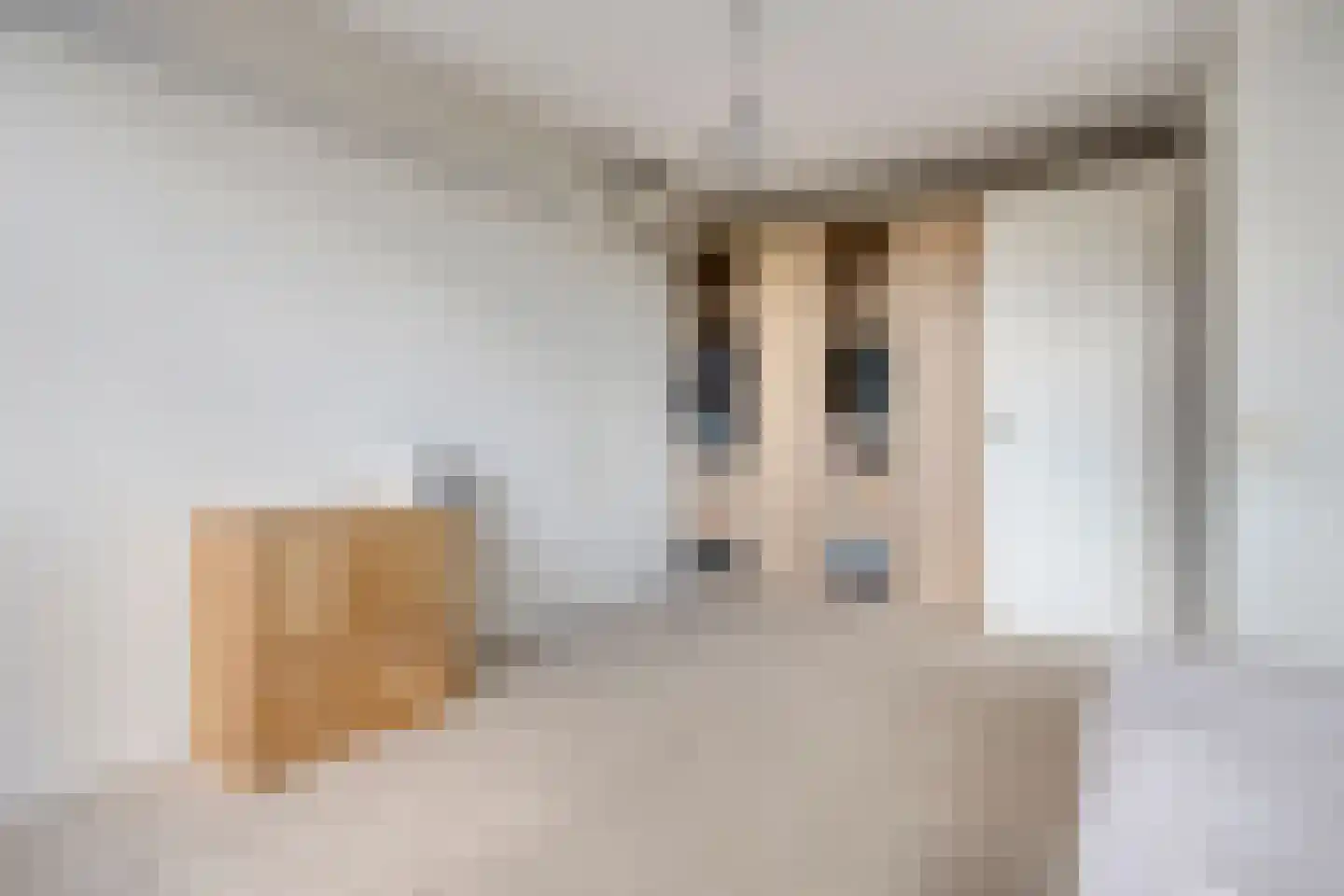 Muntmeester 149 Uden thumbnail 19