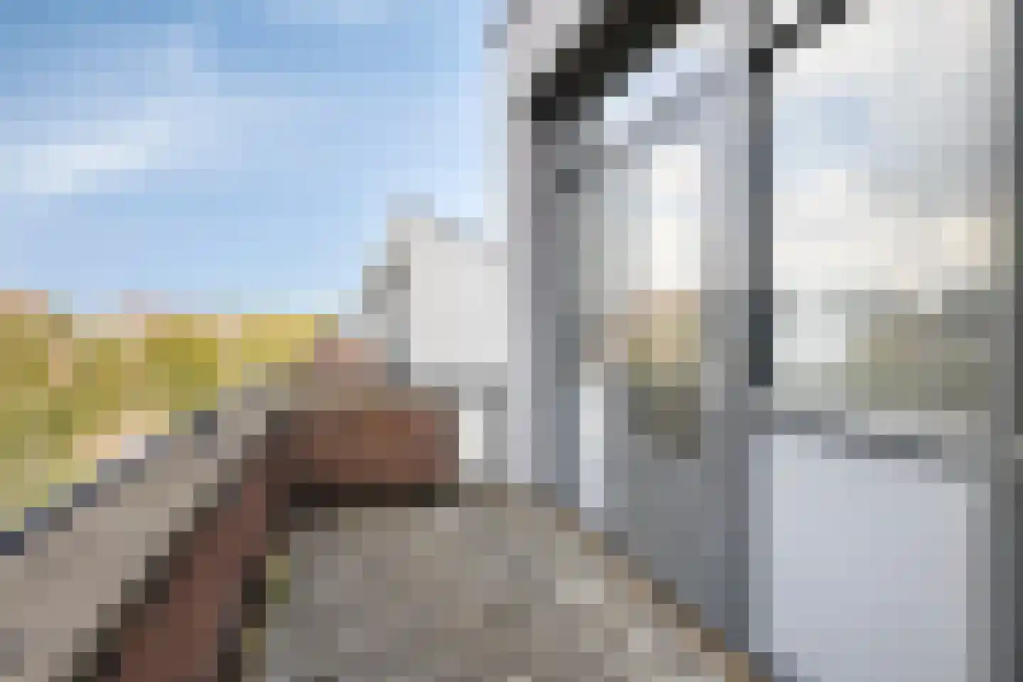 Muntmeester 149 Uden thumbnail 28