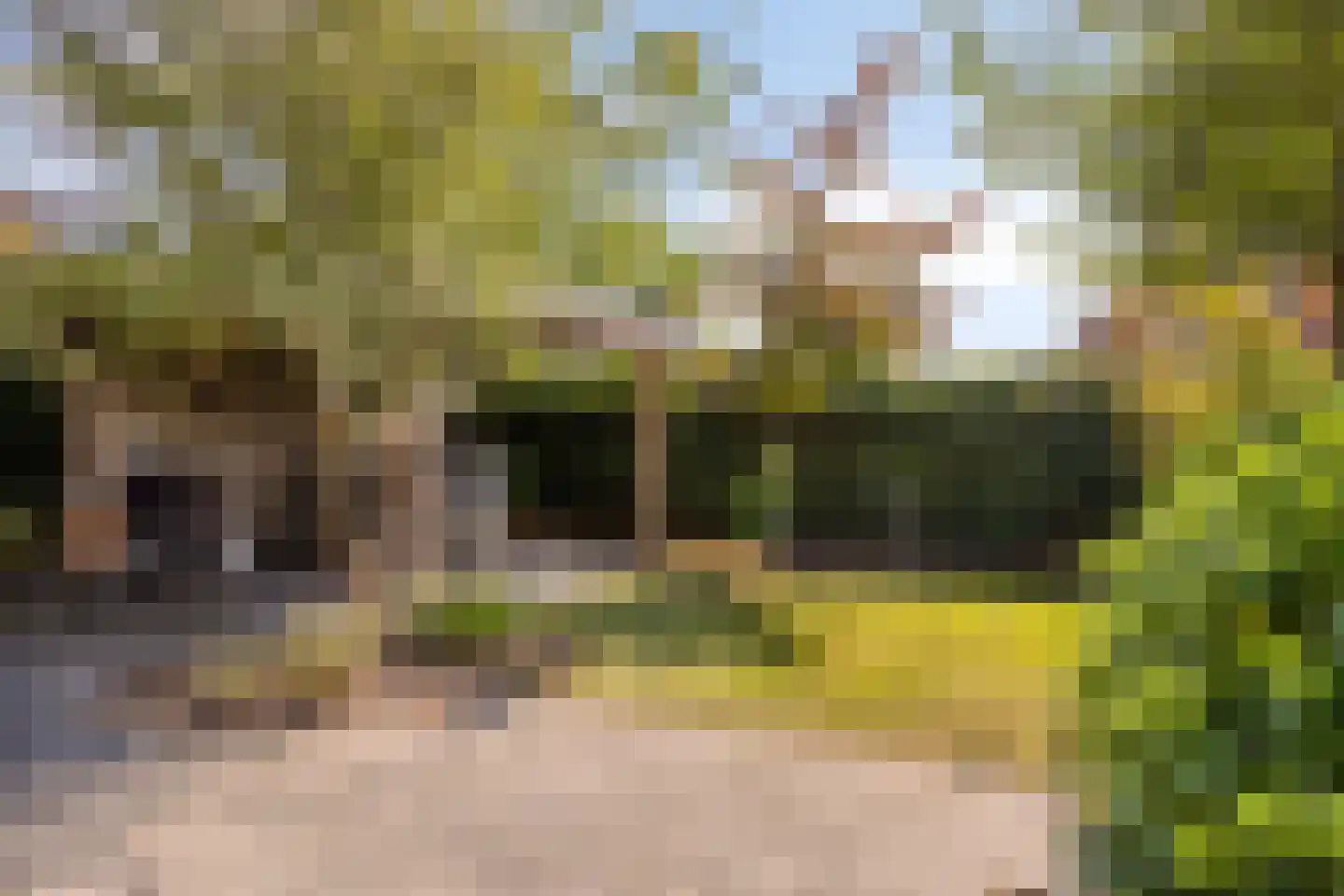 Muntmeester 149 Uden thumbnail 29