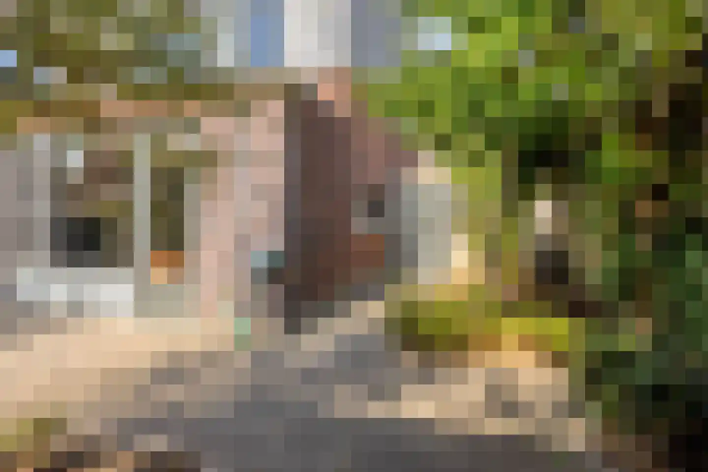 Muntmeester 149 Uden thumbnail 33
