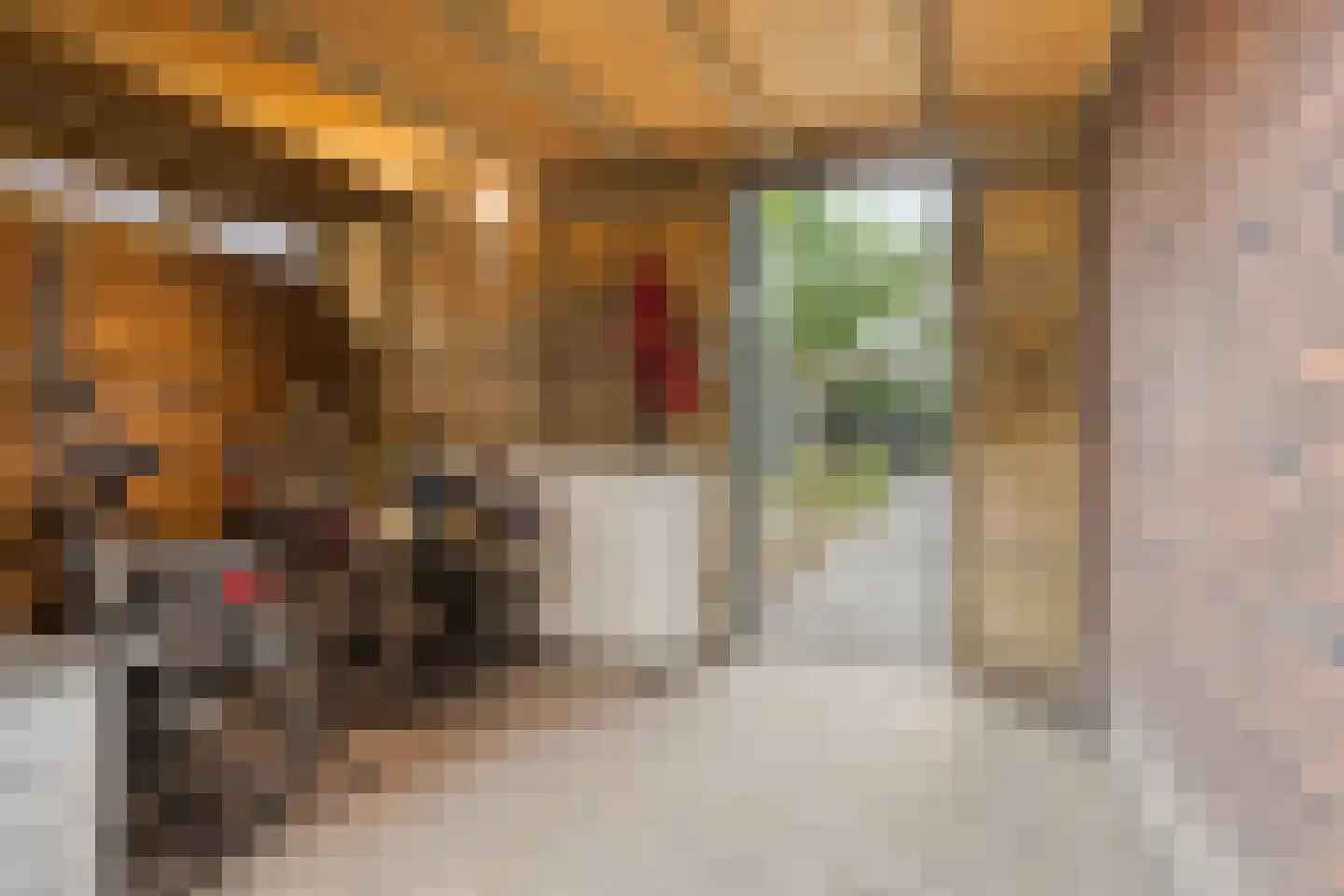 Muntmeester 149 Uden thumbnail 34