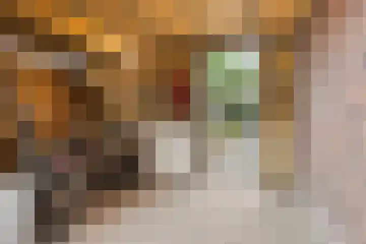 Muntmeester 149 Uden thumbnail 34