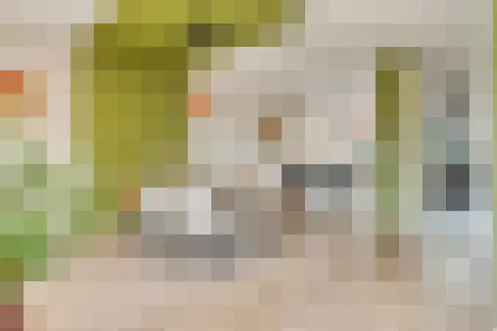 Muntmeester 149 Uden thumbnail 8