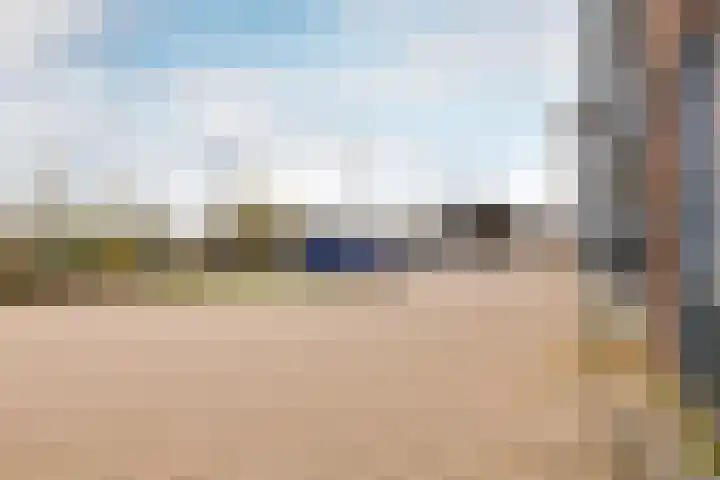 Muntmeester 151 Uden thumbnail 17