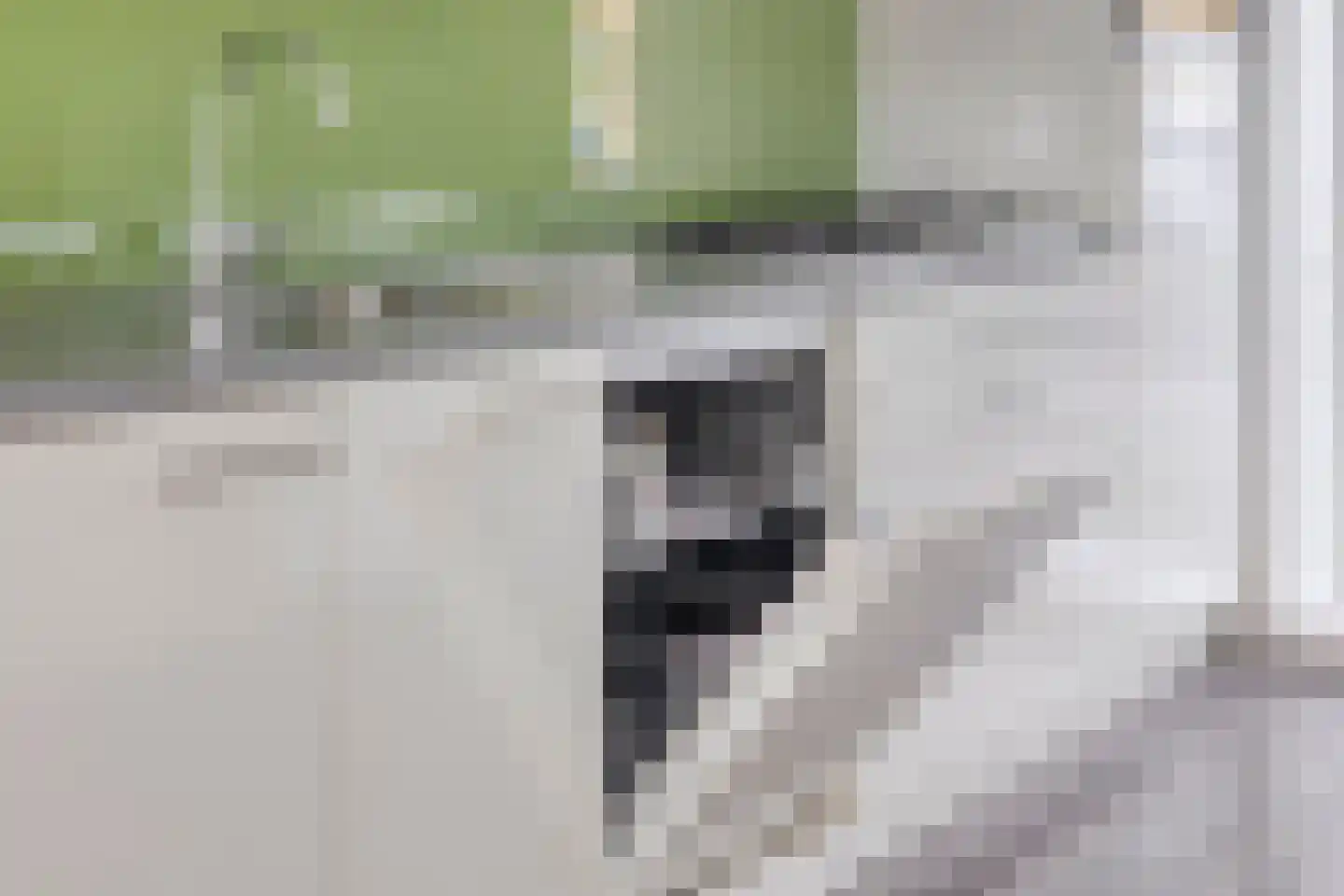 Muntmeester 151 Uden thumbnail 23