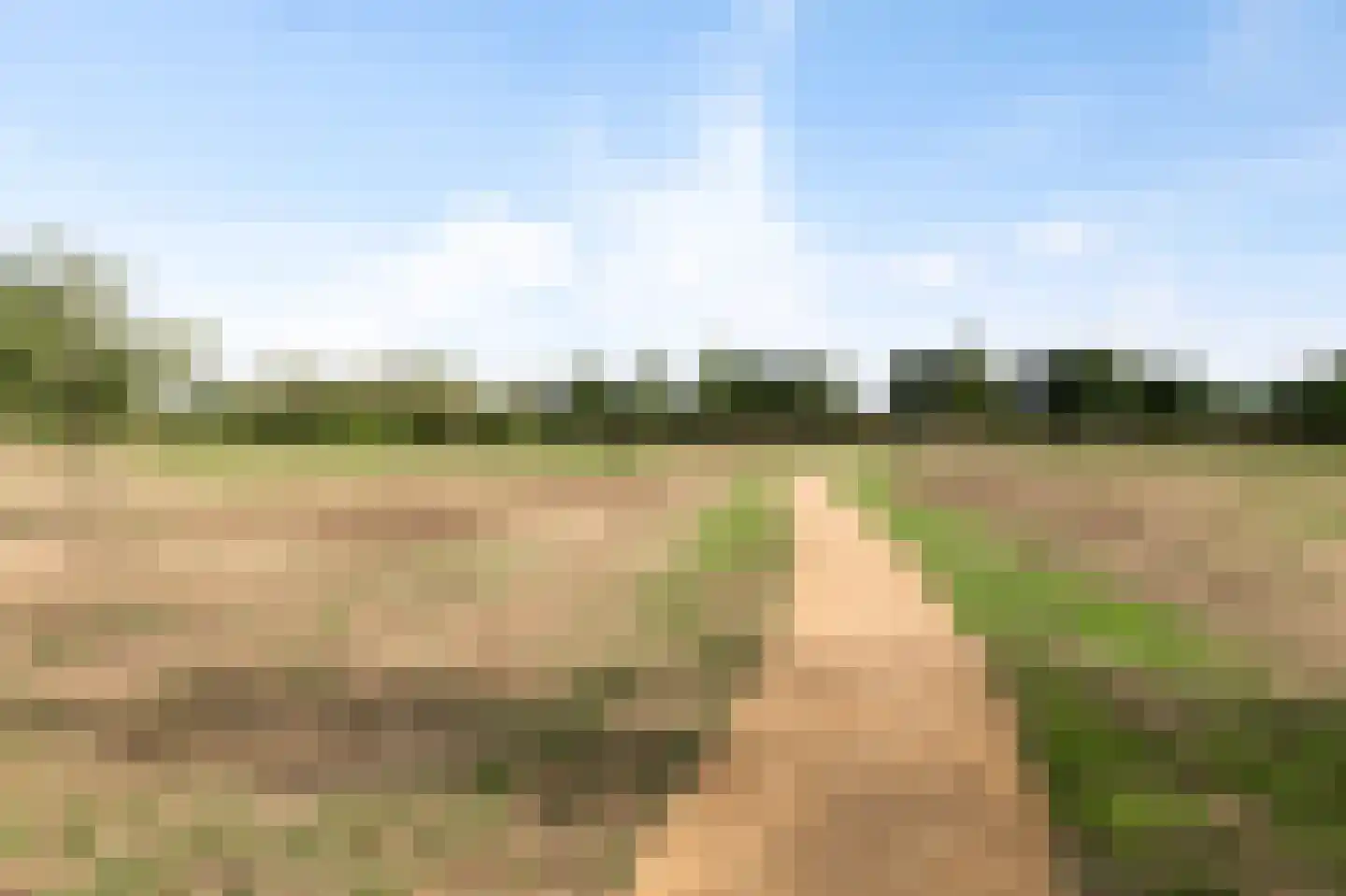 Muntmeester 151 Uden thumbnail 48