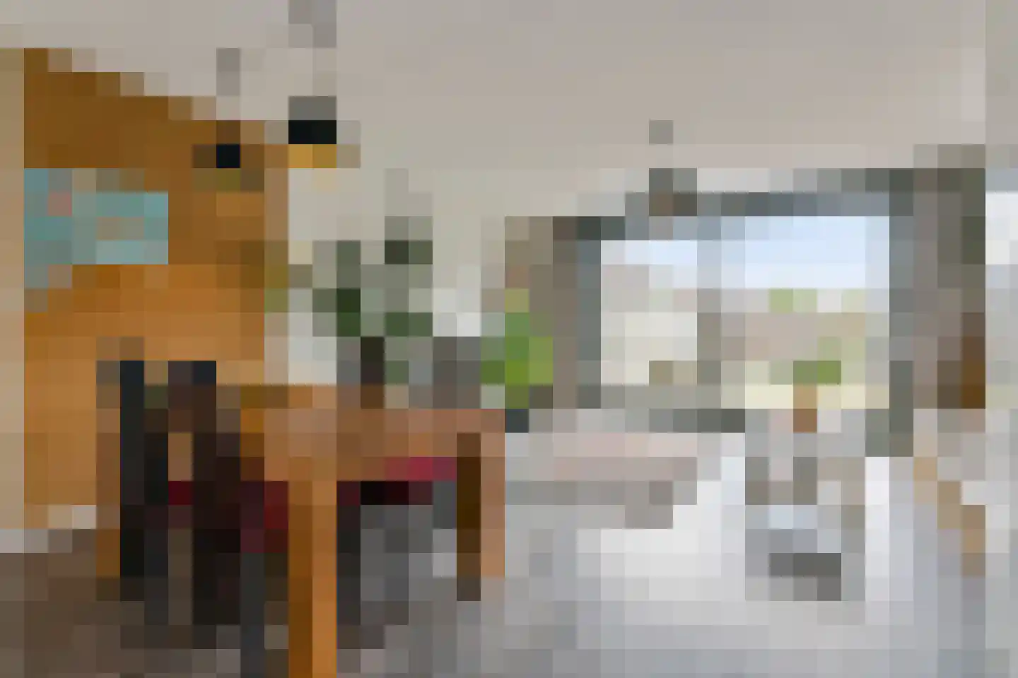 Muntmeester 151 Uden thumbnail 5
