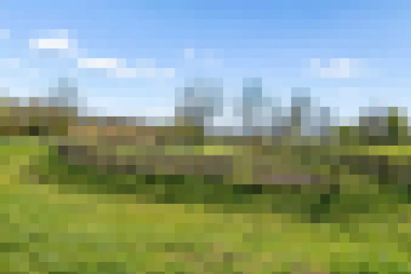 Muntmeester 179 Uden thumbnail 33