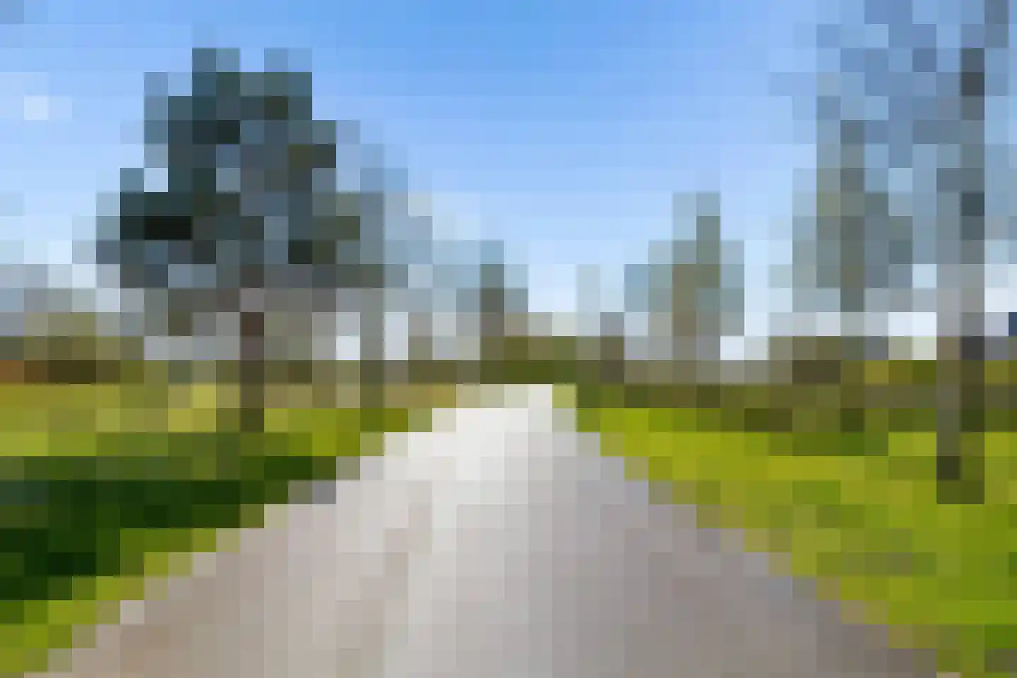 Muntmeester 179 Uden thumbnail 36