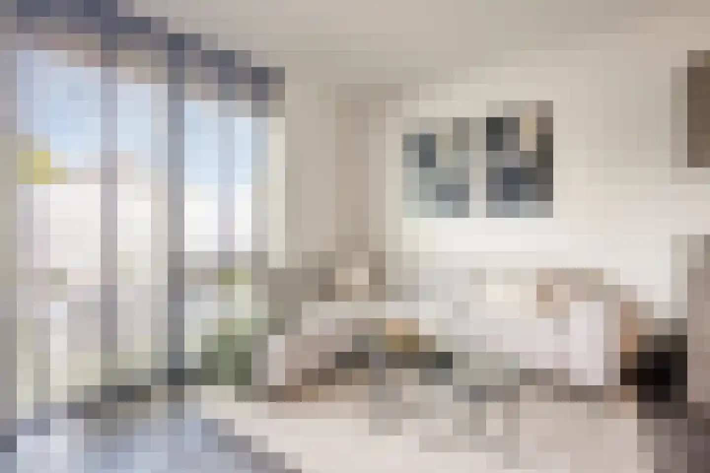 Muntmeester 183 Uden thumbnail 10
