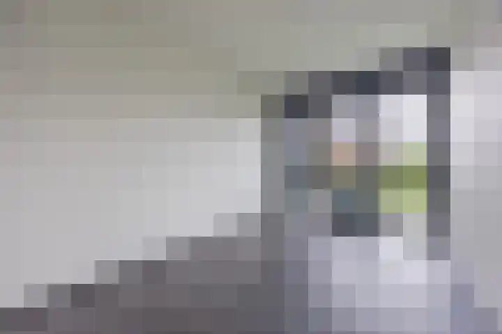 Muntmeester 183 Uden thumbnail 20