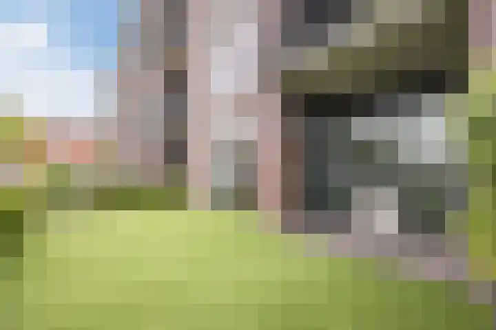 Muntmeester 183 Uden thumbnail 23