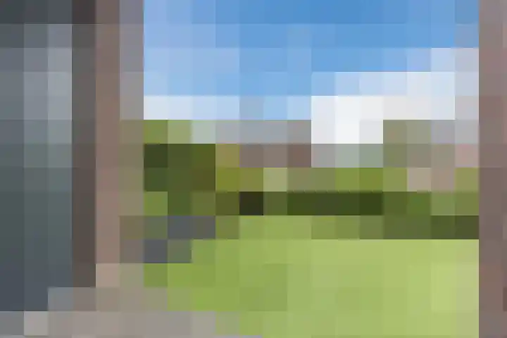 Muntmeester 183 Uden thumbnail 24