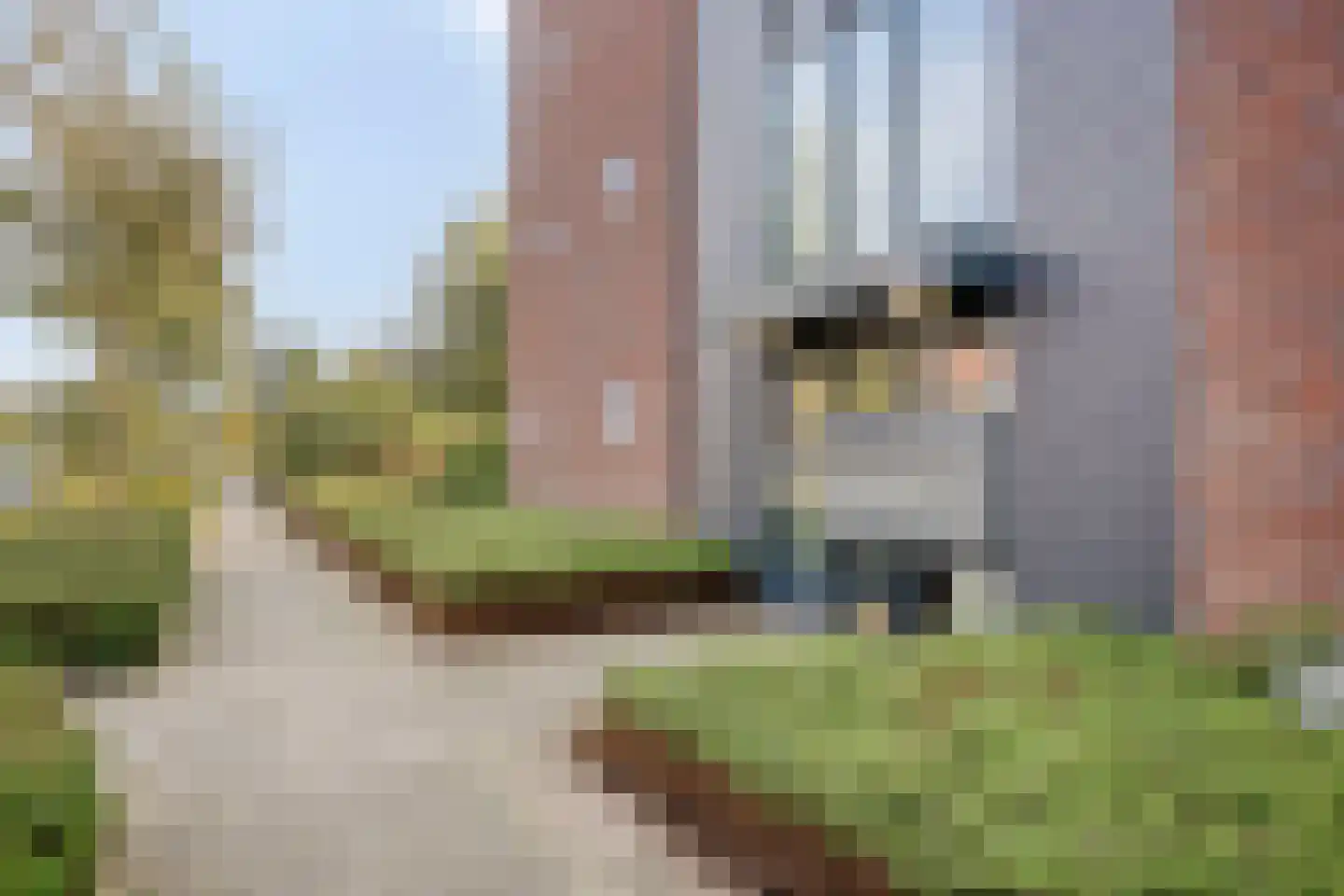 Muntmeester 183 Uden thumbnail 24