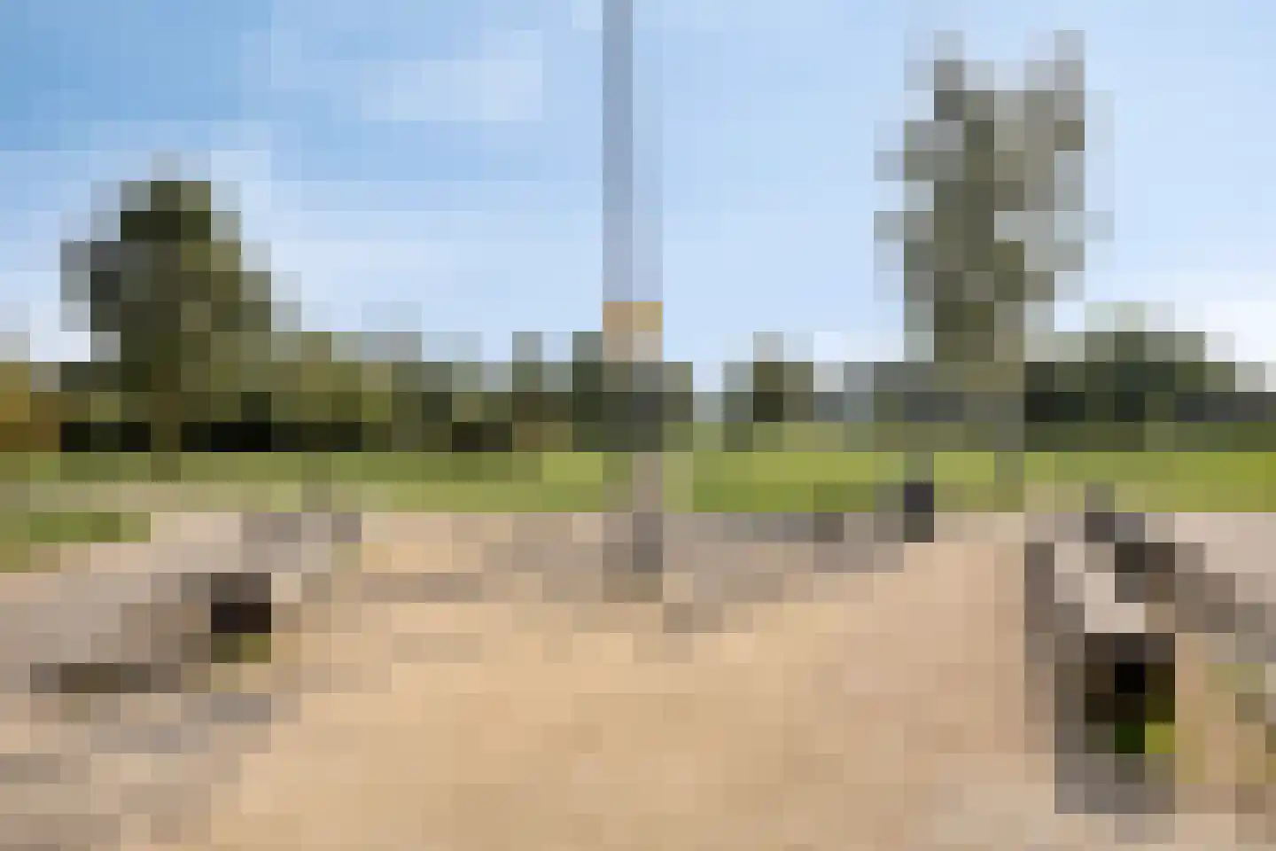 Muntmeester 183 Uden thumbnail 25
