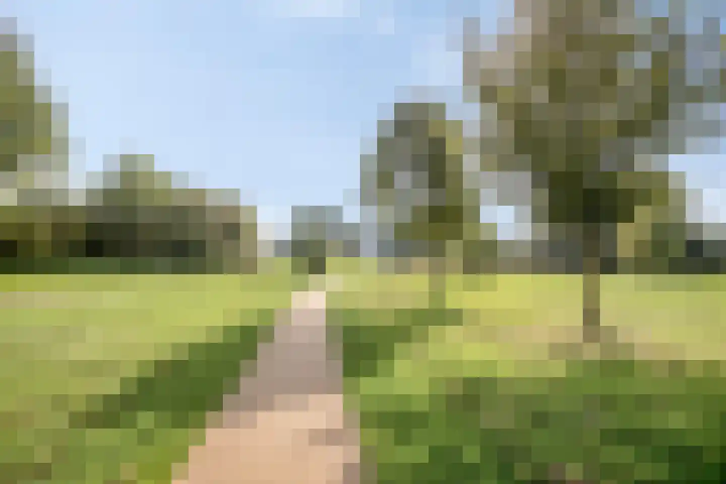 Muntmeester 183 Uden thumbnail 26