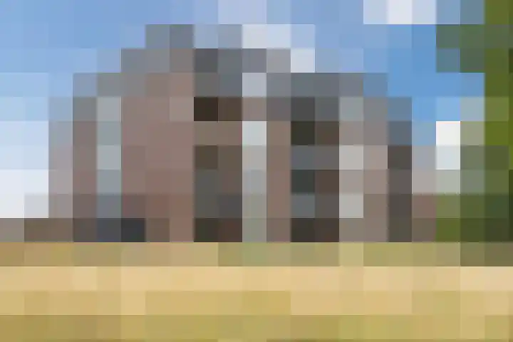 Muntmeester 183 Uden thumbnail 28
