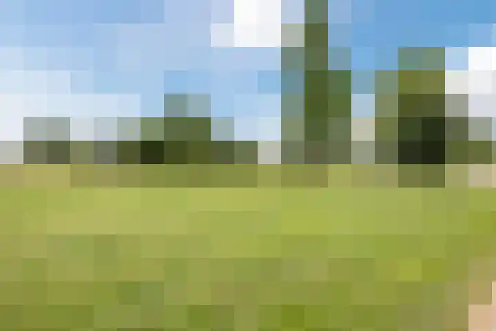 Muntmeester 183 Uden thumbnail 30
