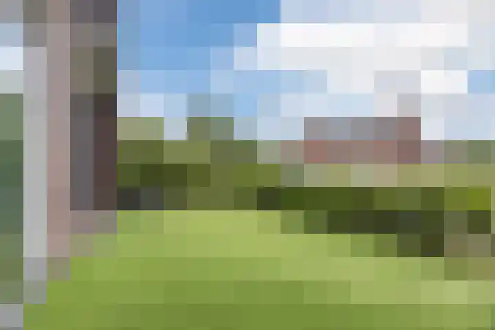 Muntmeester 183 Uden thumbnail 5