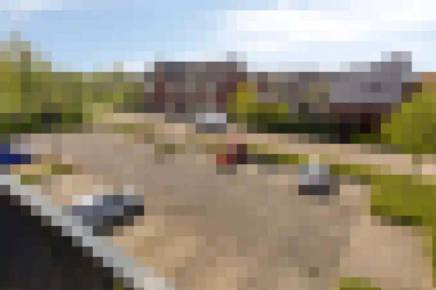 Muntmeester 203 Uden thumbnail 19