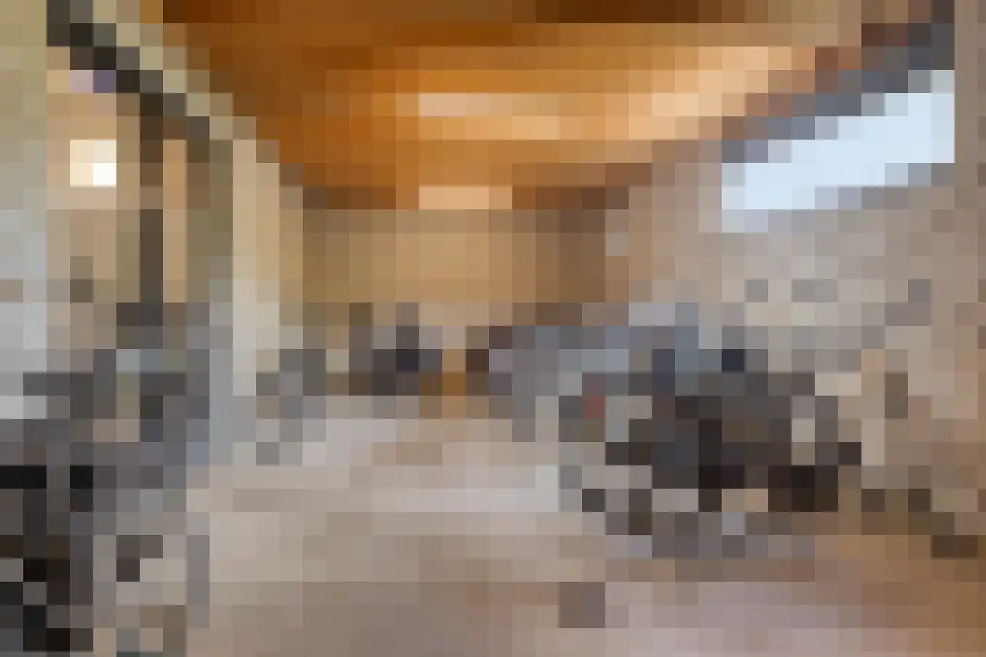Muntmeester 203 Uden thumbnail 23
