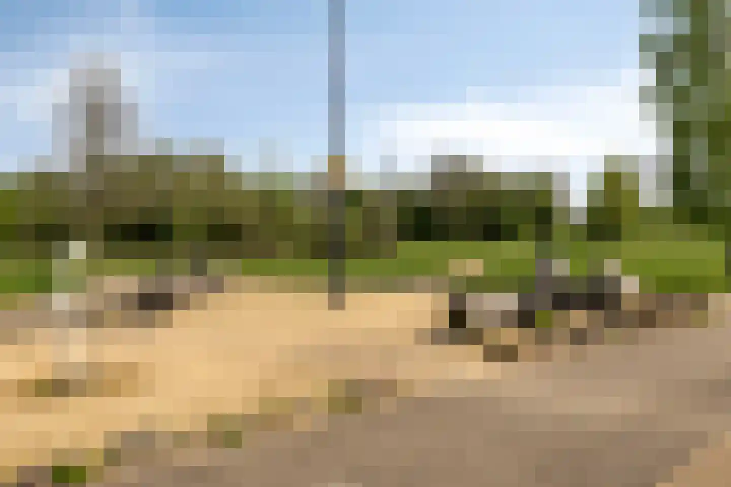 Muntmeester 203 Uden thumbnail 24