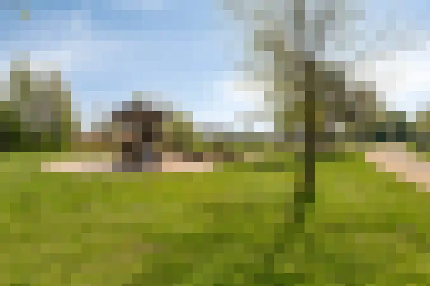Muntmeester 203 Uden thumbnail 25