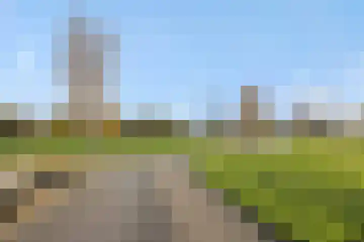 Muntmeester 205 Uden thumbnail 20