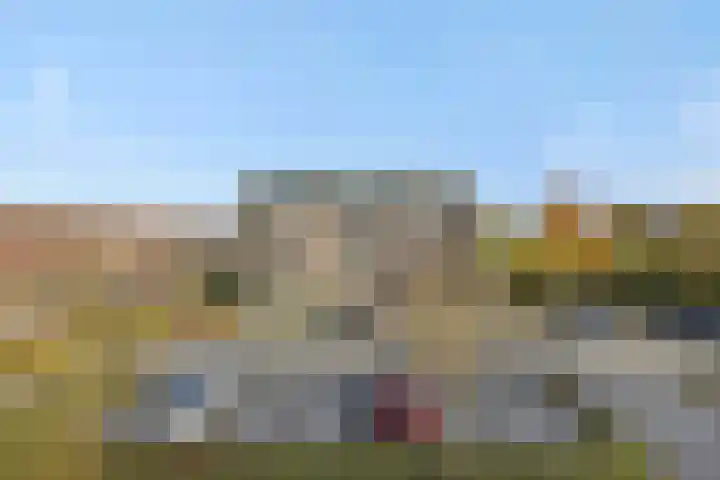 Muntmeester 205 Uden thumbnail 23