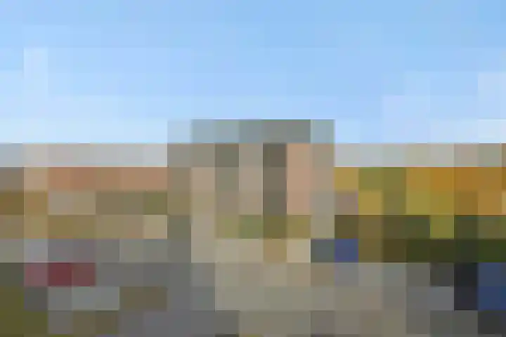 Muntmeester 205 Uden thumbnail 24