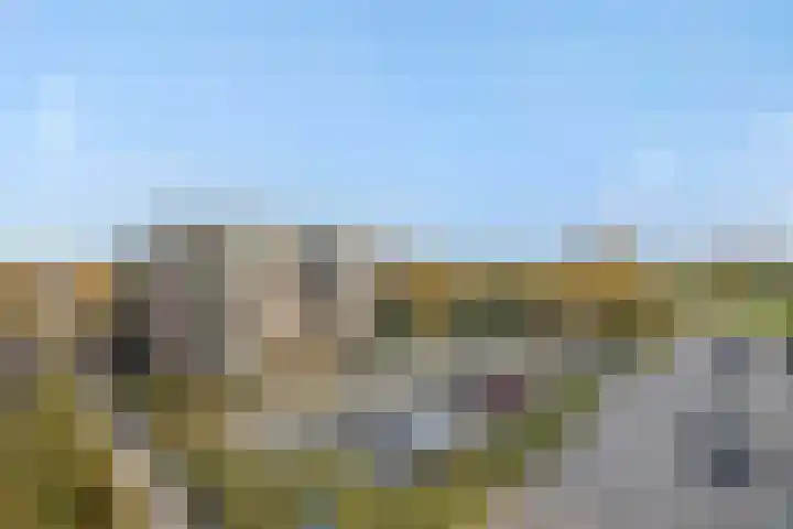 Muntmeester 205 Uden thumbnail 4