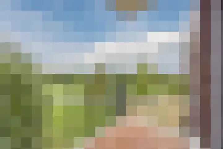Muntmeester 211 Uden thumbnail 19