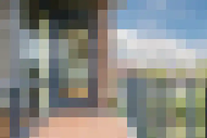 Muntmeester 211 Uden thumbnail 20