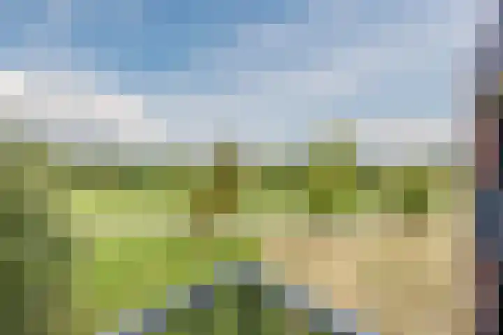 Muntmeester 211 Uden thumbnail 21