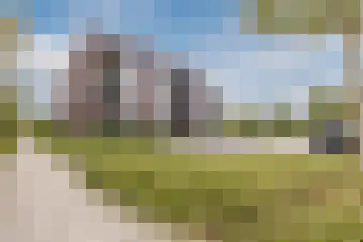 Muntmeester 211 Uden thumbnail 24