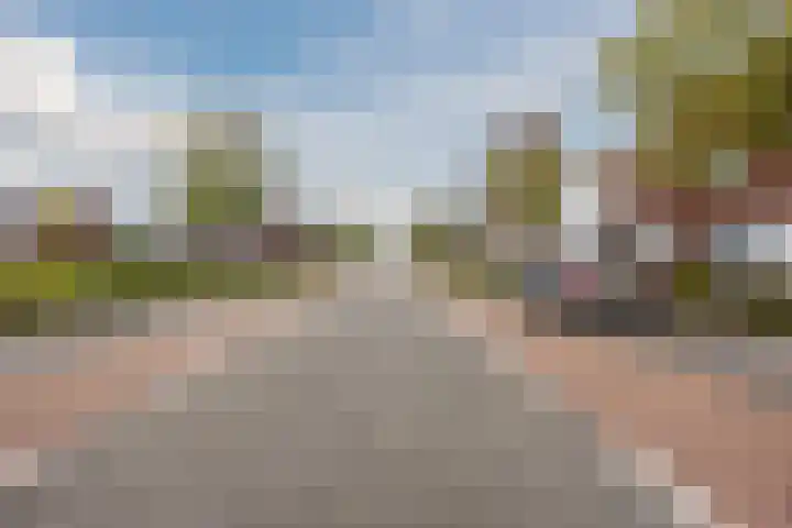 Muntmeester 211 Uden thumbnail 25