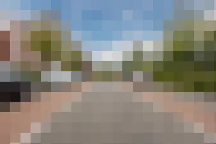 Muntmeester 211 Uden thumbnail 26