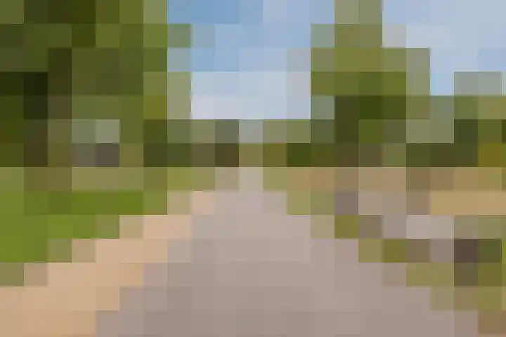 Muntmeester 211 Uden thumbnail 27