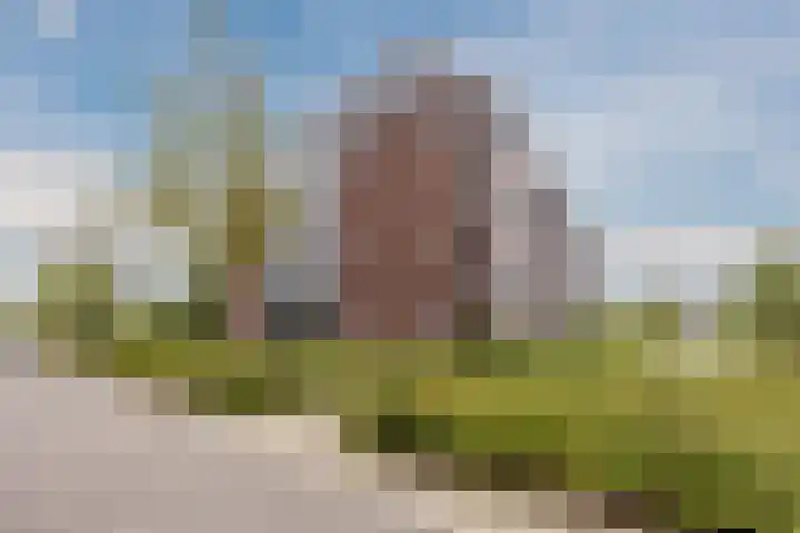 Muntmeester 211 Uden thumbnail 4