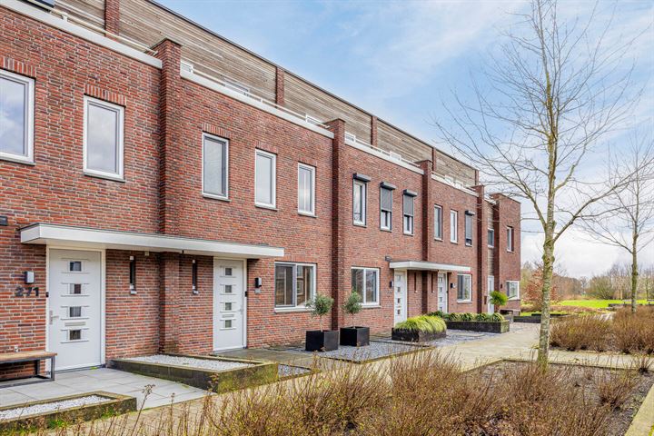 Muntmeester 269 in Uden Foto