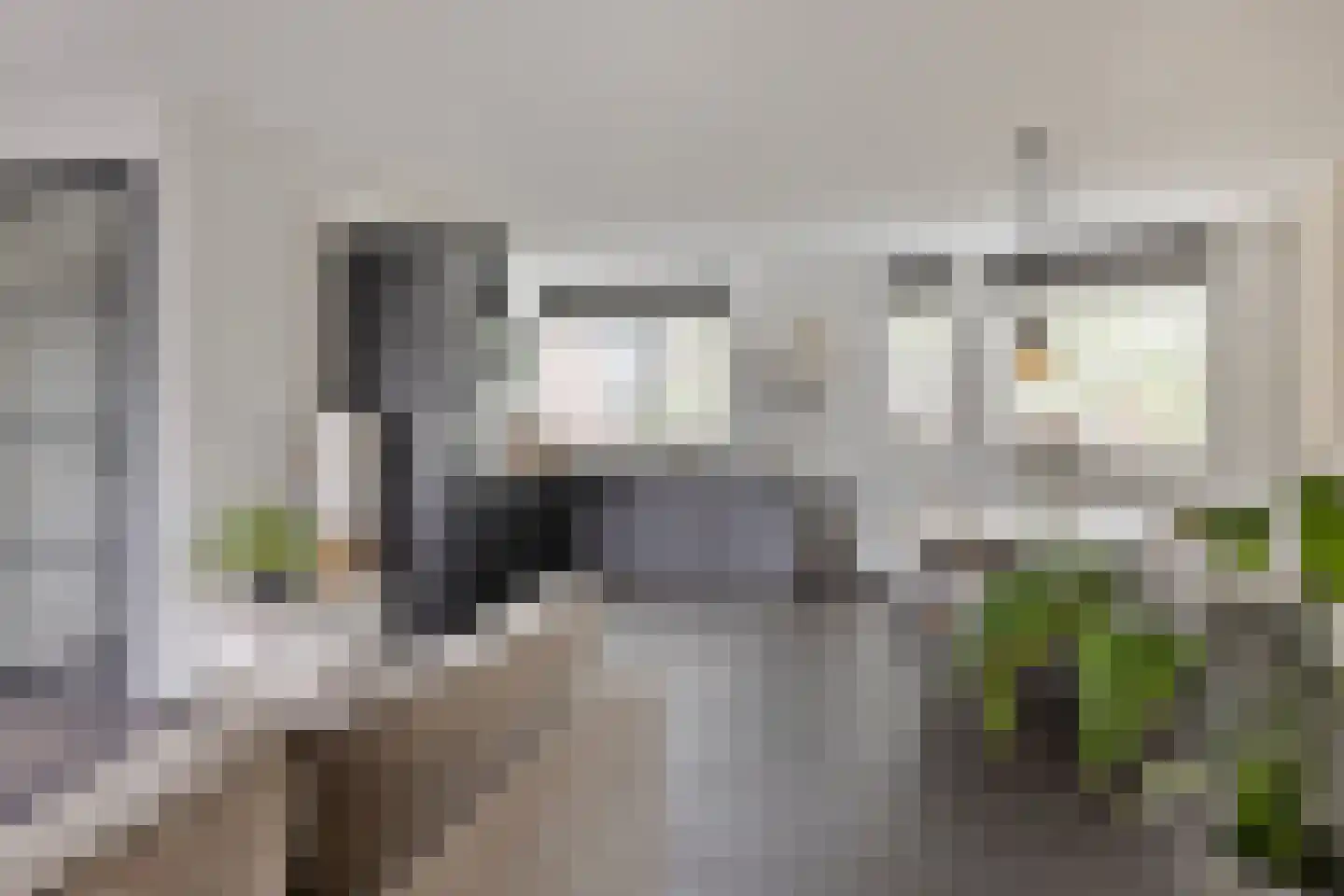 Muntmeester 298 Uden thumbnail 11