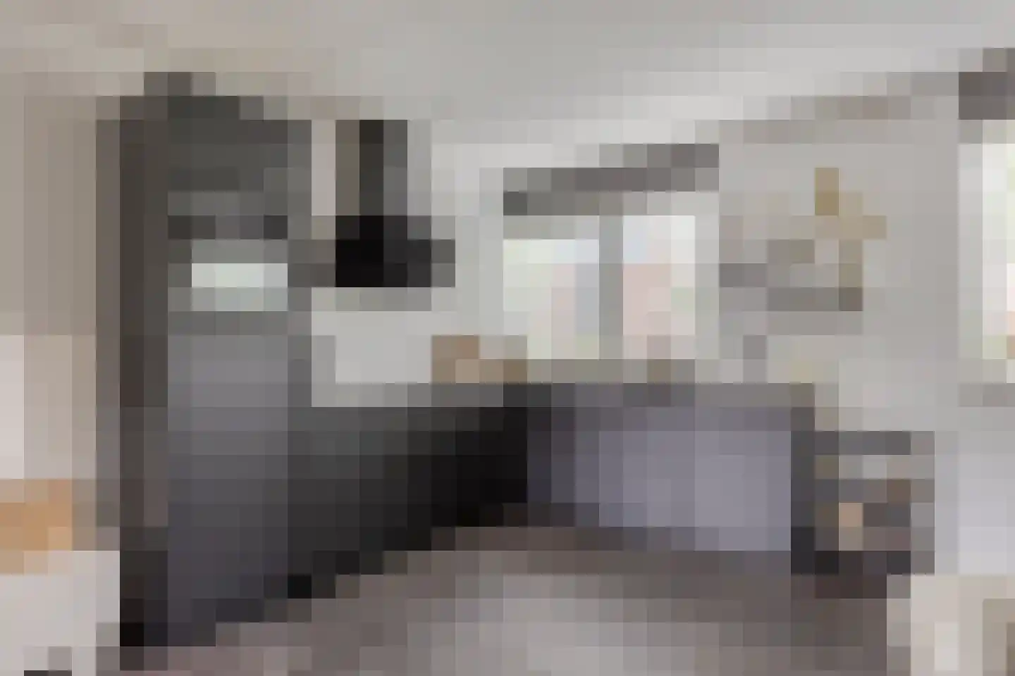 Muntmeester 298 Uden thumbnail 13