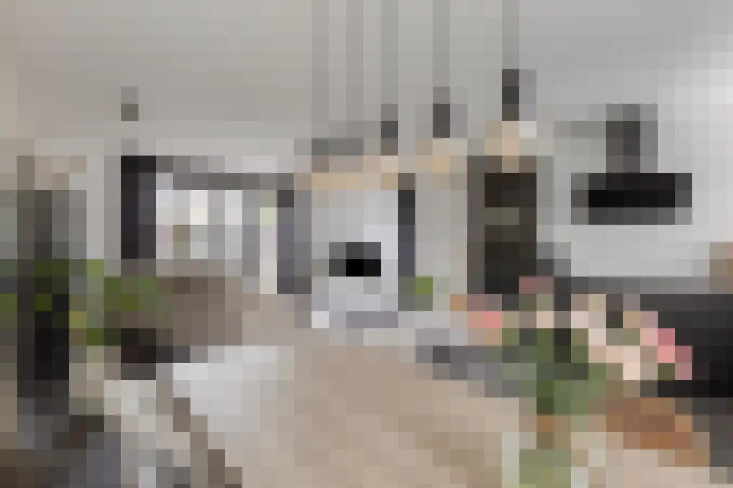 Muntmeester 298 Uden thumbnail 14