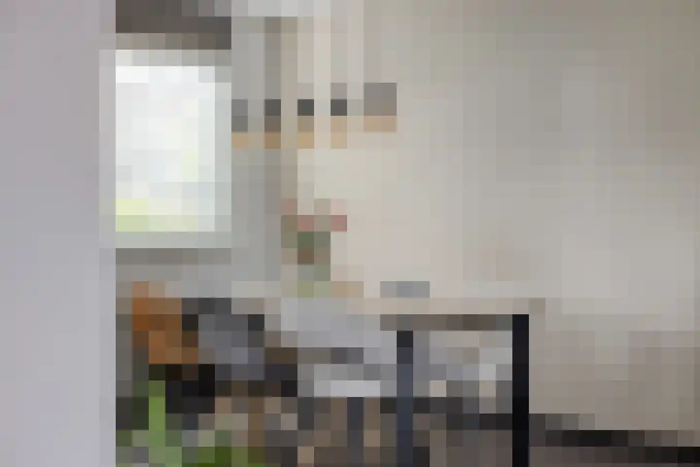 Muntmeester 298 Uden thumbnail 15