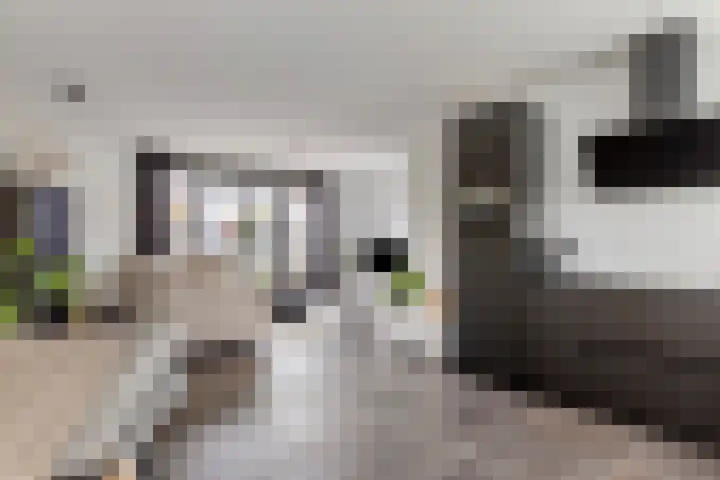 Muntmeester 298 Uden thumbnail 18
