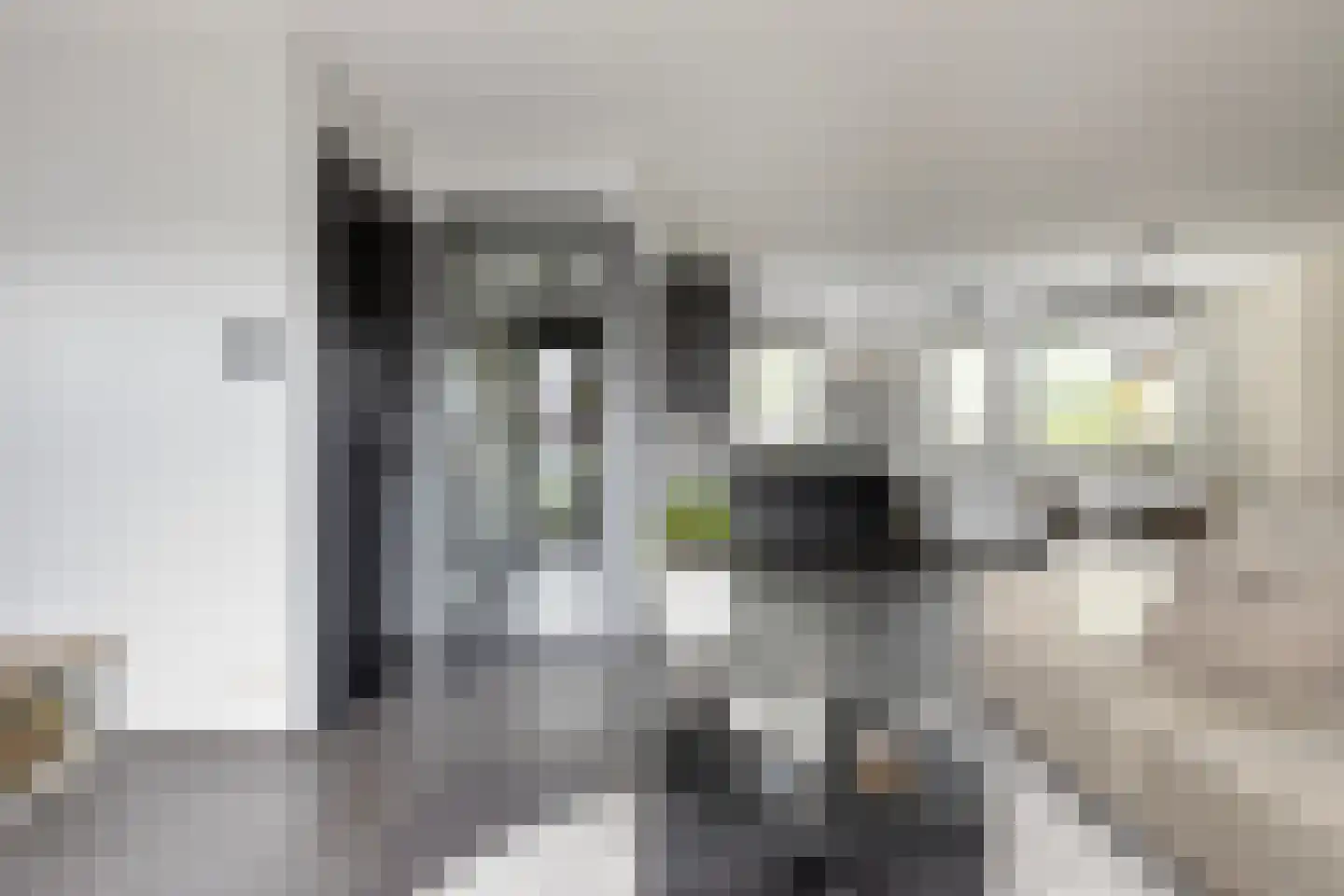 Muntmeester 298 Uden thumbnail 8